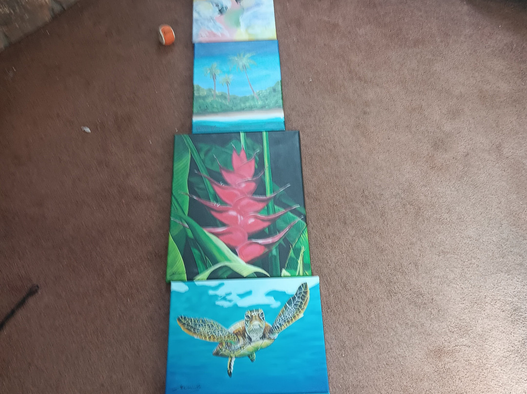 Tamarindo Art Gallery-塔马林多必去景点