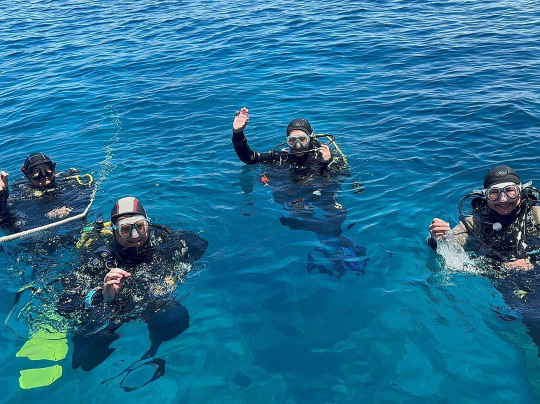 Paradise Diving Malta-史克华必去景点