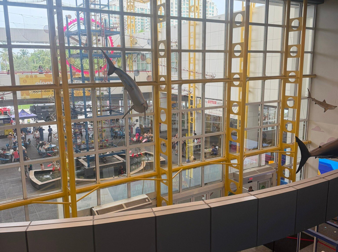 Museum of Discovery and Science-劳德代尔堡必去景点