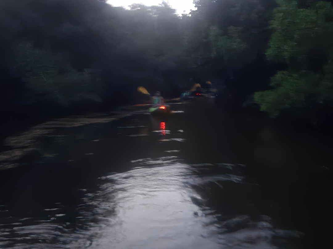Eco Action Tours-Las Croabas必去景点