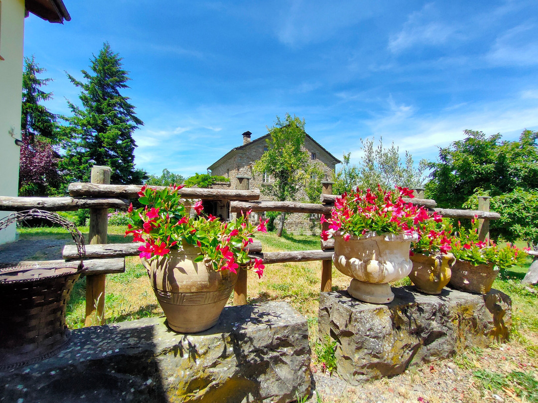 Agriturismo Piano Di Bilu'