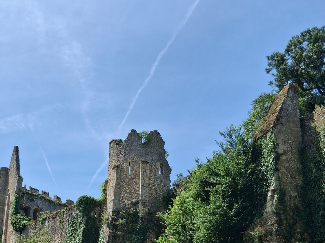 Château d'Angles-sur-l'Anglin-Angles sur l'Anglin必去景点