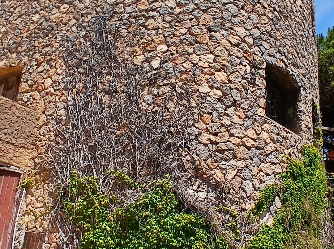 Cala Spalmatoio-Giannutri Island必去景点