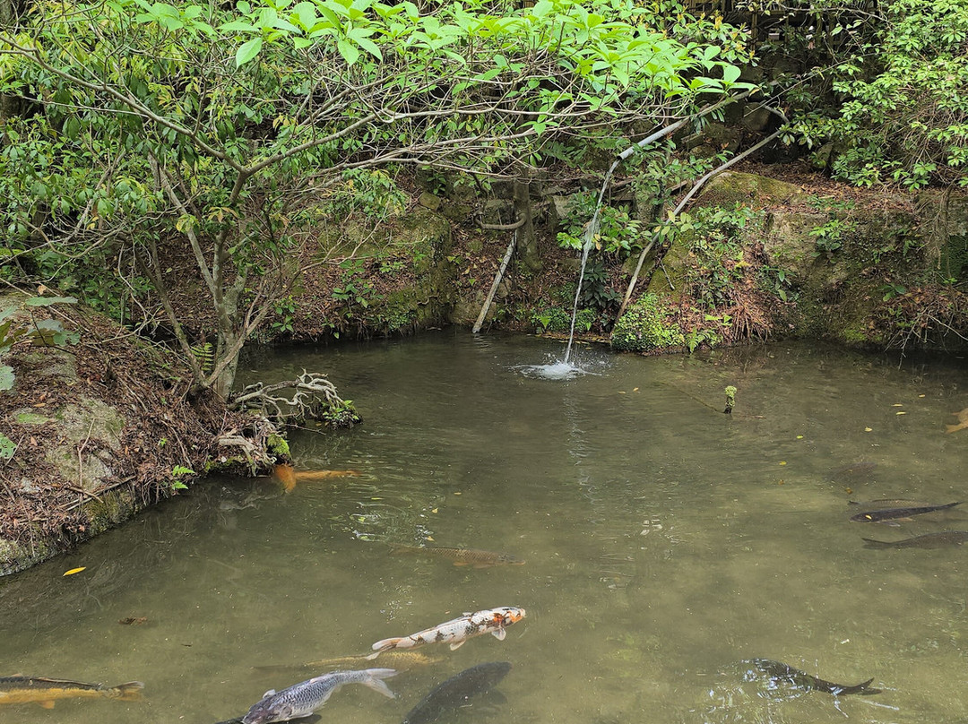 Momijidani Park-Itsukushima必去景点