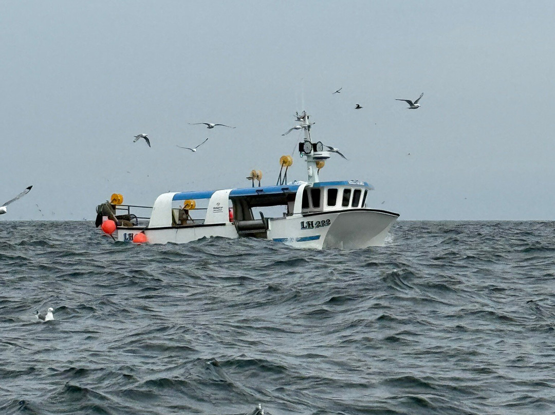Eyemouth Rib Trips-Eyemouth必去景点
