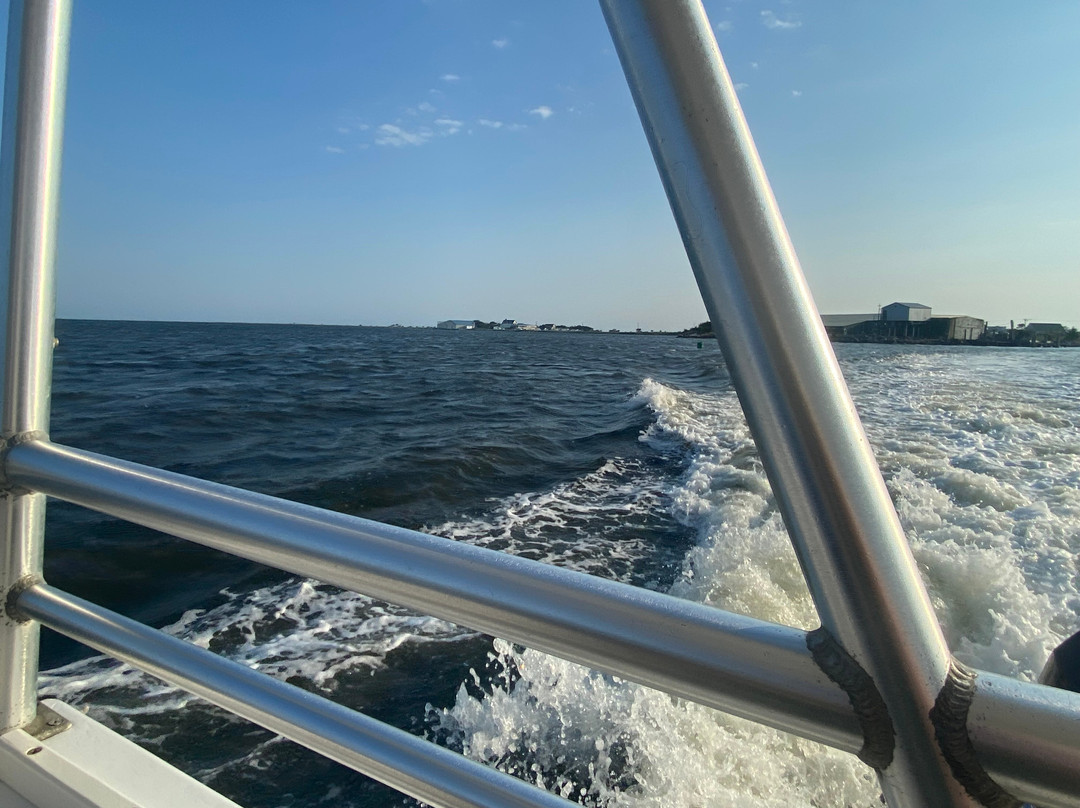 Paradise Dolphin Cruises-Wanchese必去景点