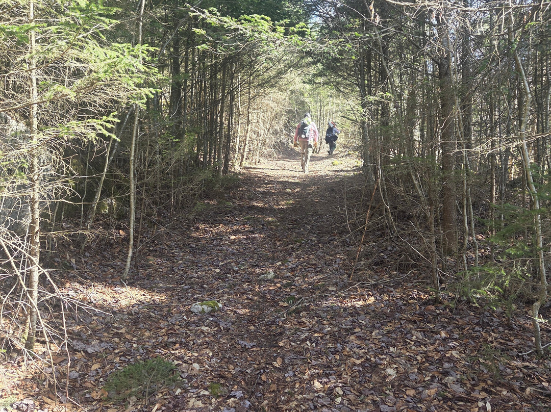 Allegheny Trail
