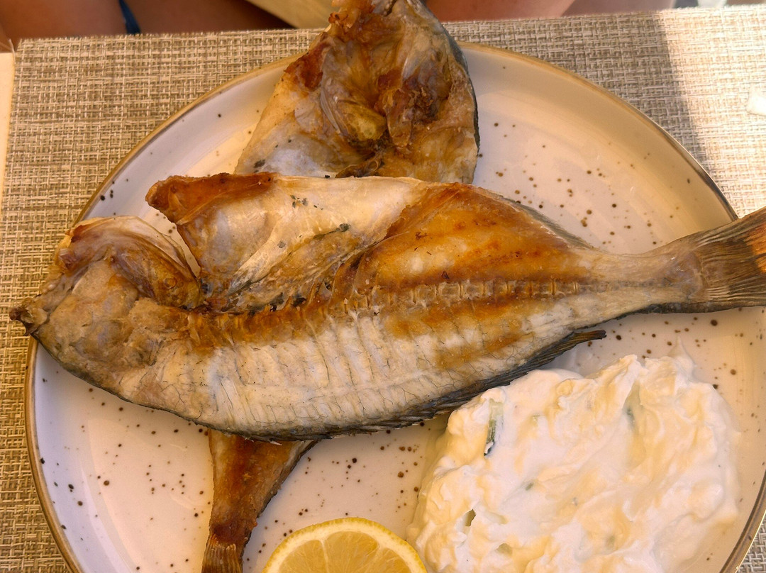 Vela E Bardhe