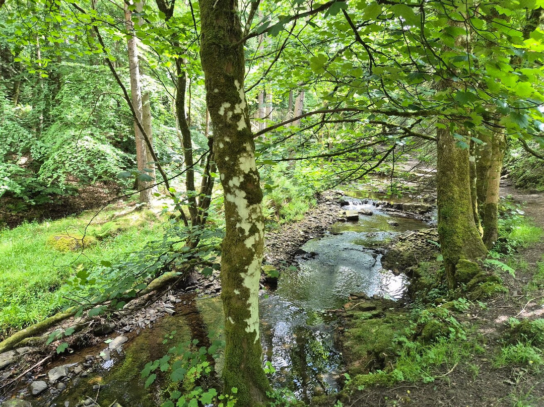 Summerhill Force And Gibsons Cave-Middleton in Teesdale必去景点