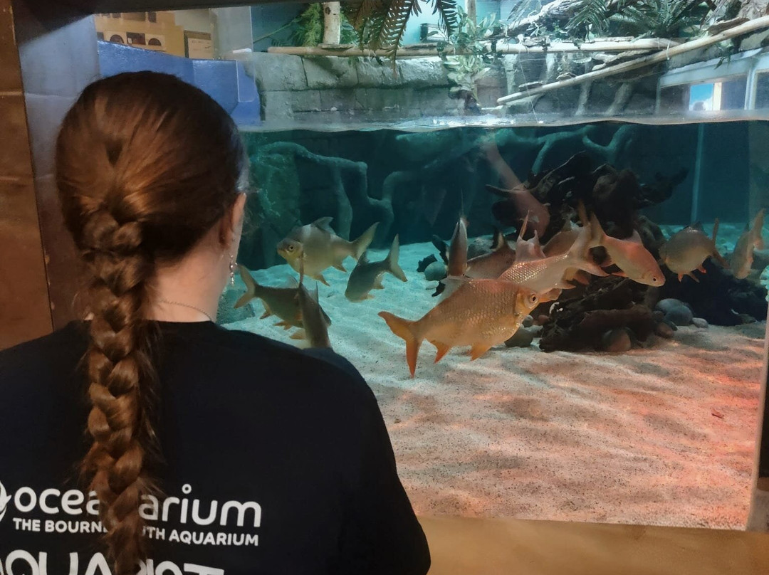 Oceanarium-伯恩茅斯必去景点
