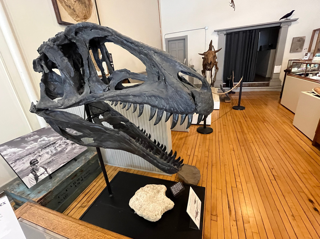 Southern Minnesota Museum of Natural History