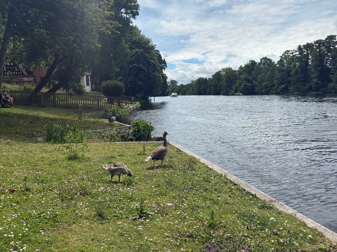 Boating at Cliveden-塔普洛必去景点