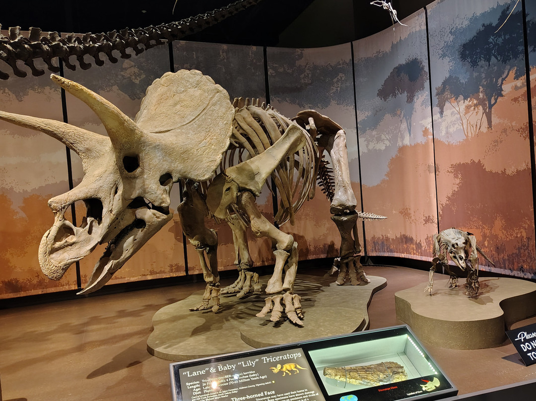 Tellus Science Museum-Cartersville必去景点