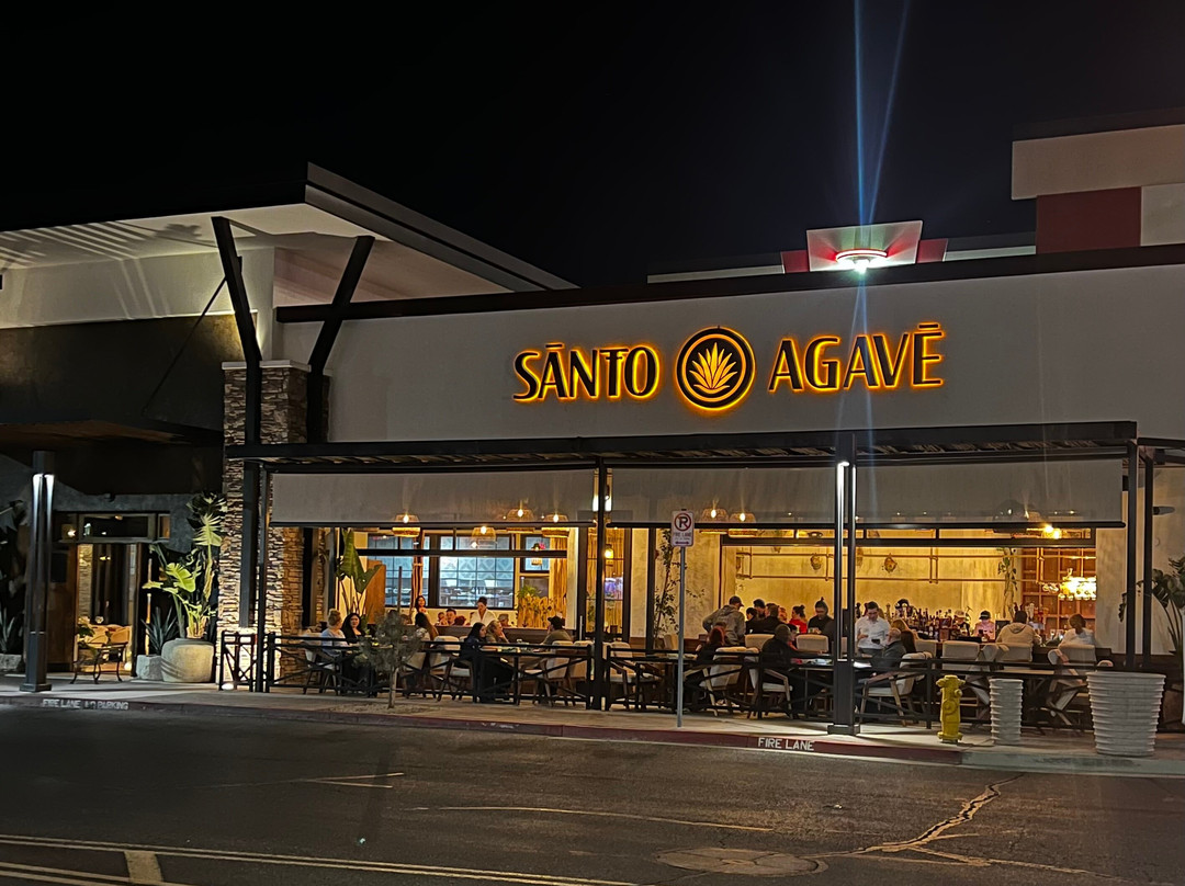Santo Agave