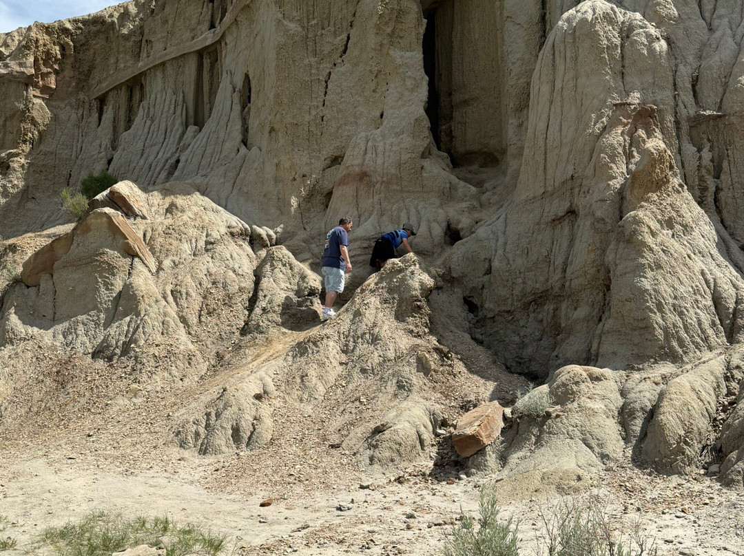 North Unit-Theodore Roosevelt National Park必去景点