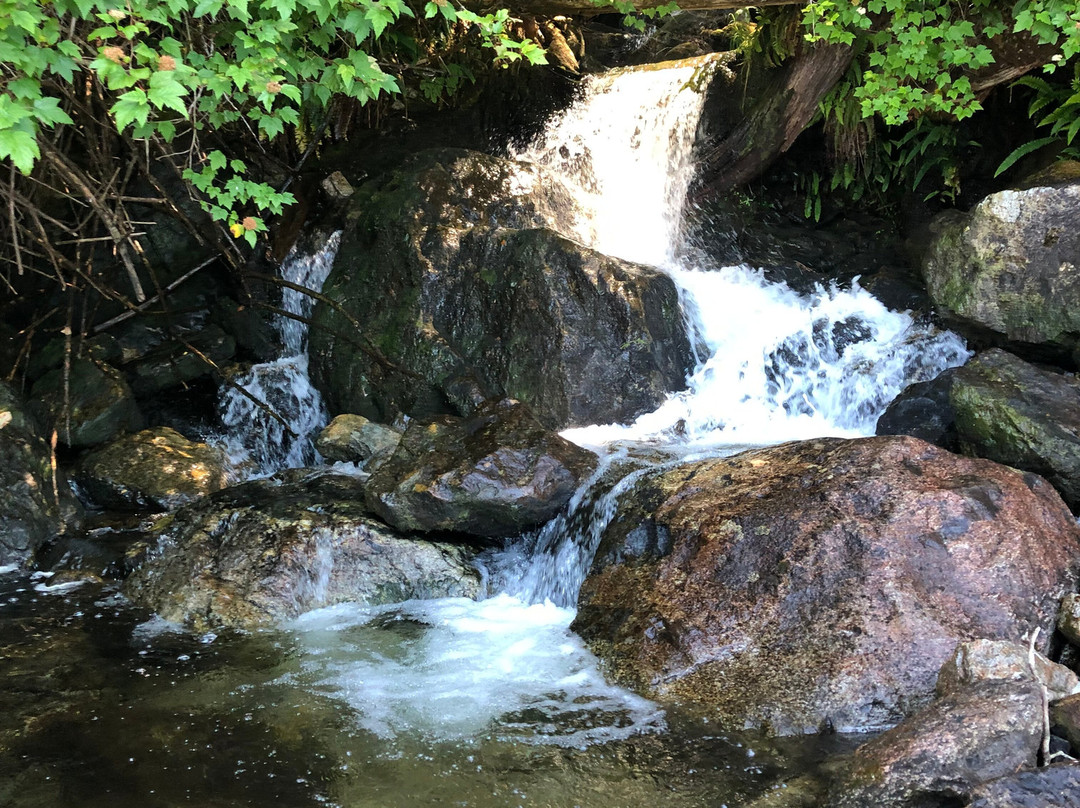 Metta Eco Experiences-Egmont必去景点