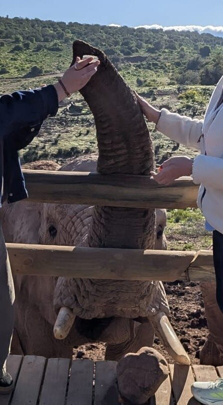 Buffelsdrift Game Lodge - Activities-奥兹洪必去景点