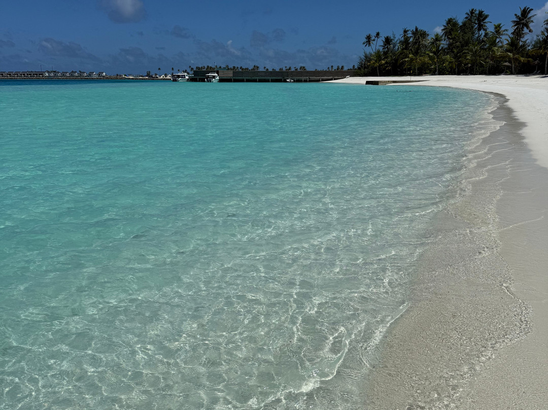 Joy Island Maldives by Cocoon Collection主图