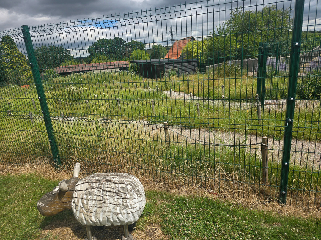 Lee Valley Animal Adventure Park-沃尔萨姆阿比必去景点