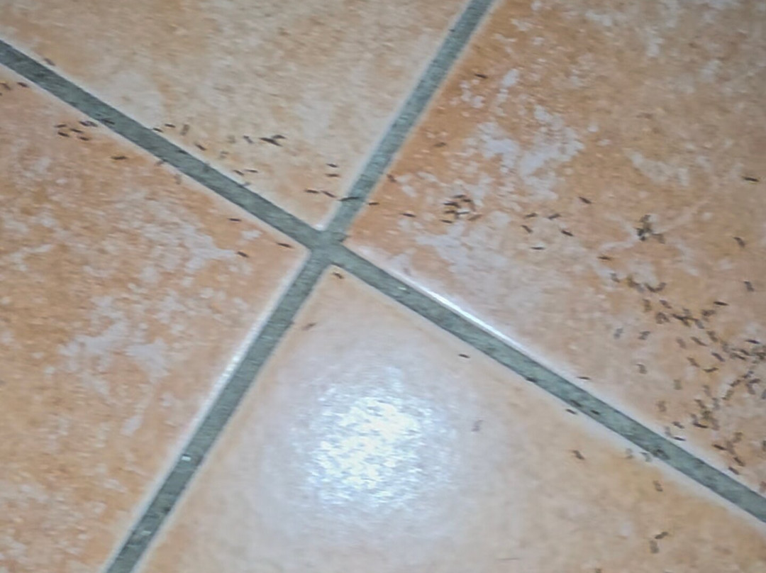 法托里亚望景楼酒店主图