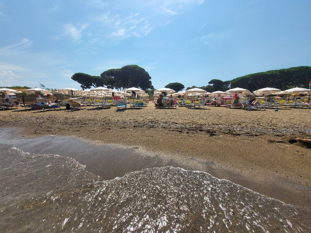 Schiacciami