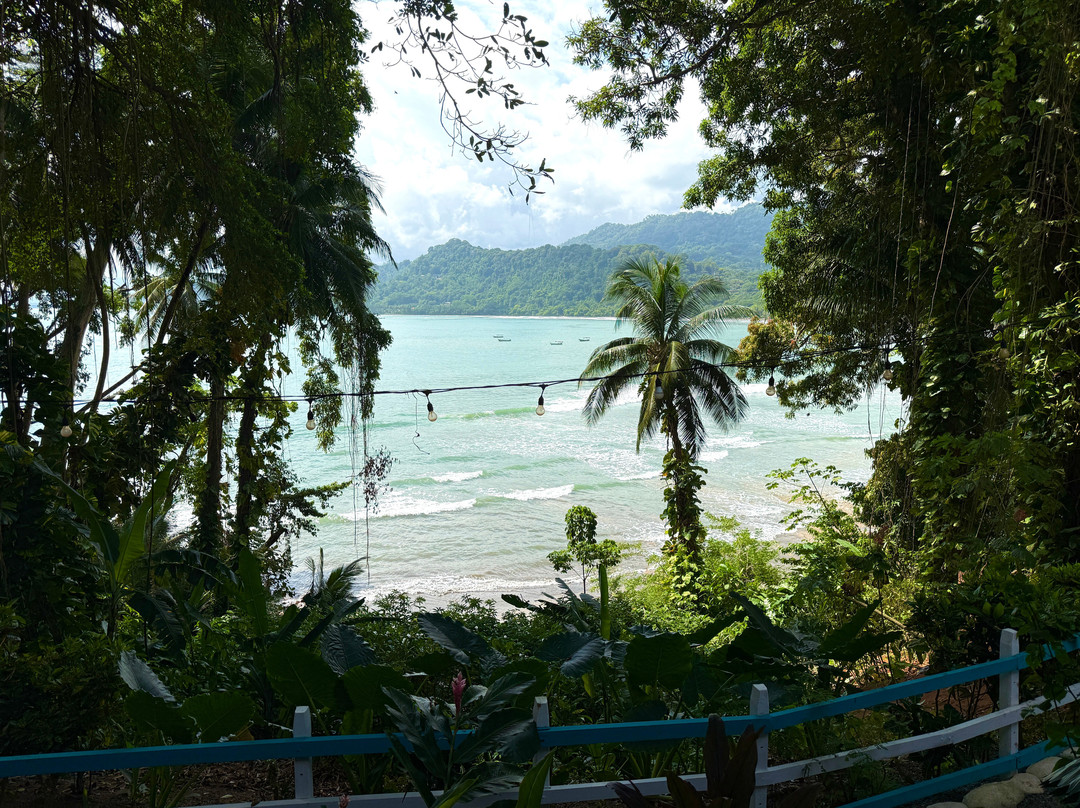 Tropical Waterfalls Tour