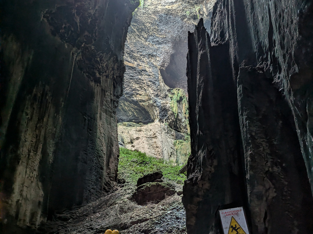 Borneo Eco Tours-亚庇必去景点