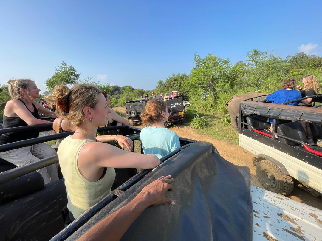 Ceylon Special Jeep Safari-哈巴拉娜必去景点