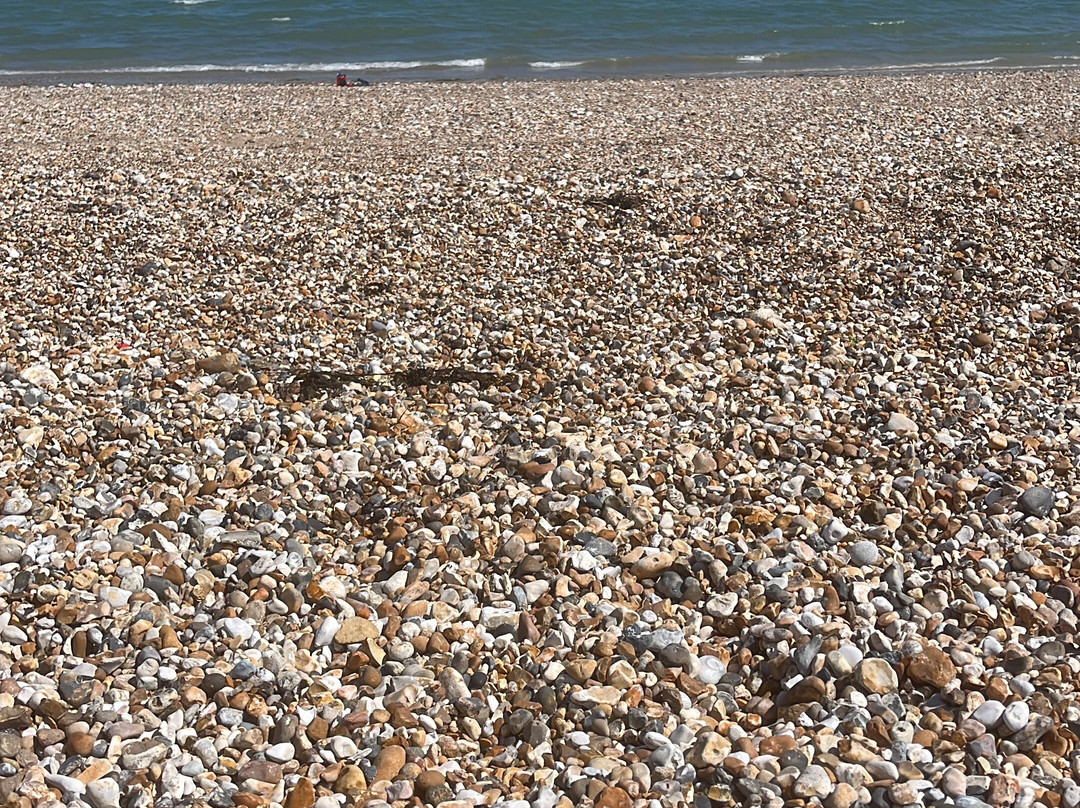 Pagham Beach-Pagham必去景点