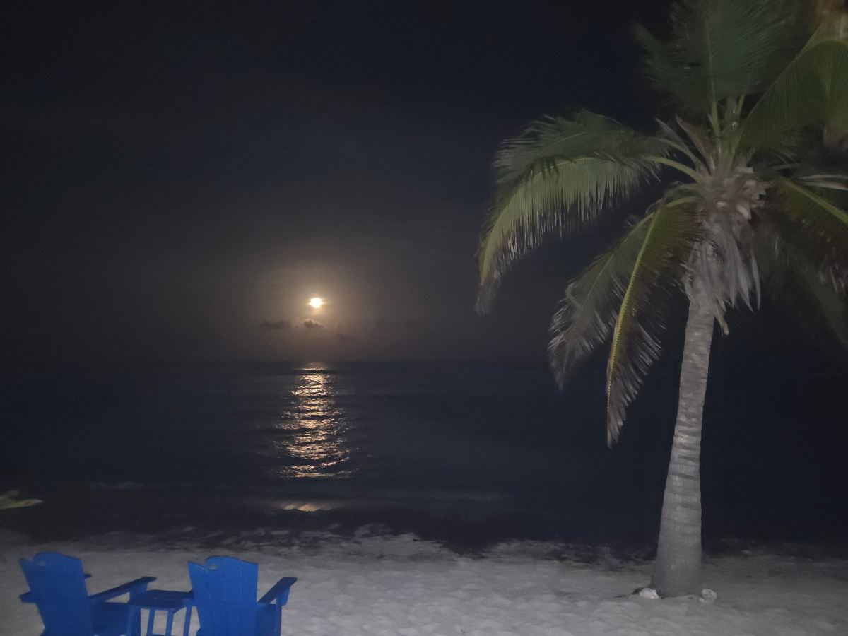 Turtle Nest Inn-泳池