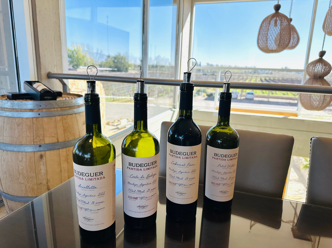 Bodega Budeguer-阿格雷洛必去景点