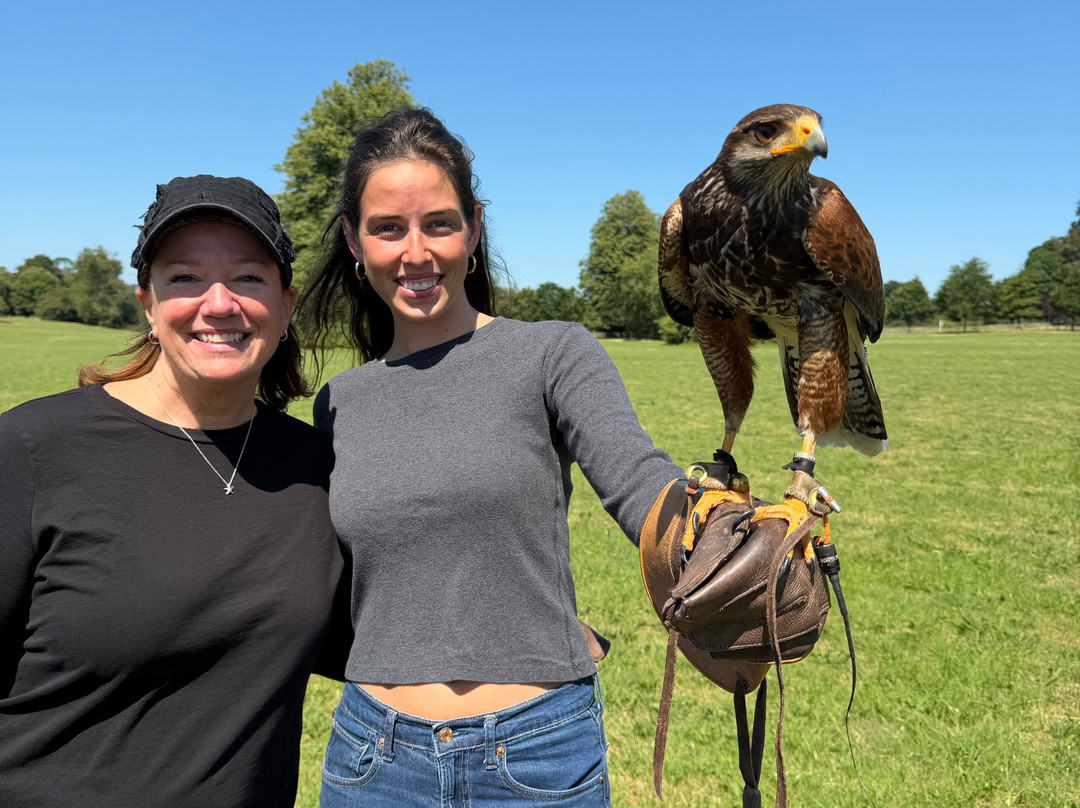 Hawkeye School of Falconry-基尔肯尼必去景点