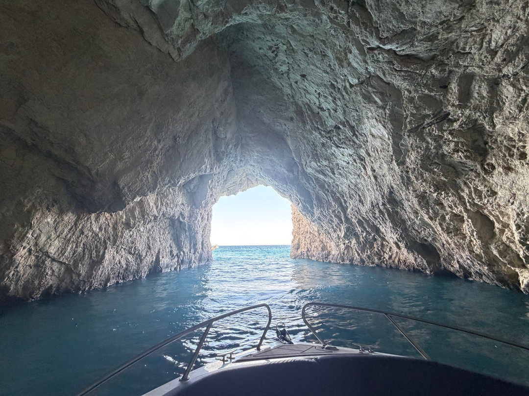 Dolphin Boat Rentals-利姆尼科利必去景点