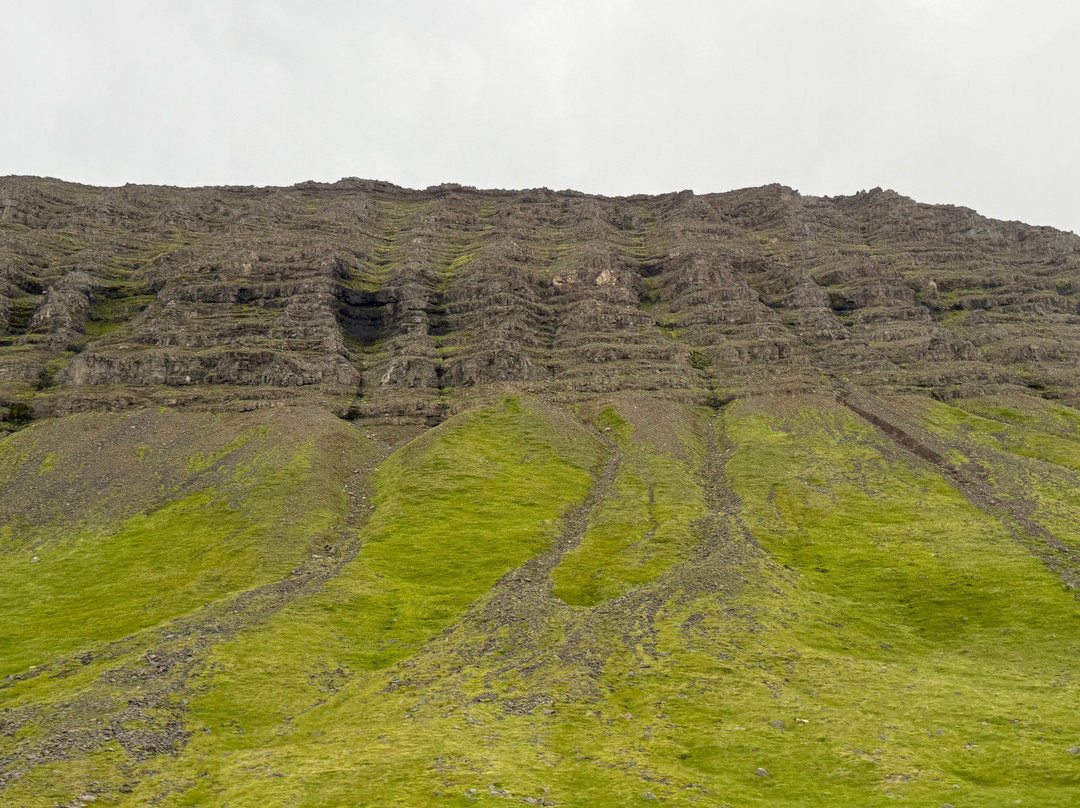 Wild Westfjords-伊萨菲厄泽必去景点