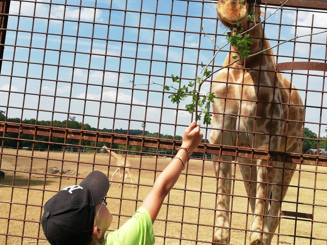 Parc Zoo du Reynou-Le Vigen必去景点