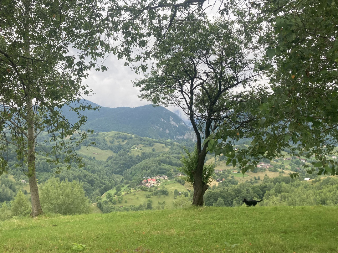Noroc Romania-grind Adventure-Zarnesti必去景点