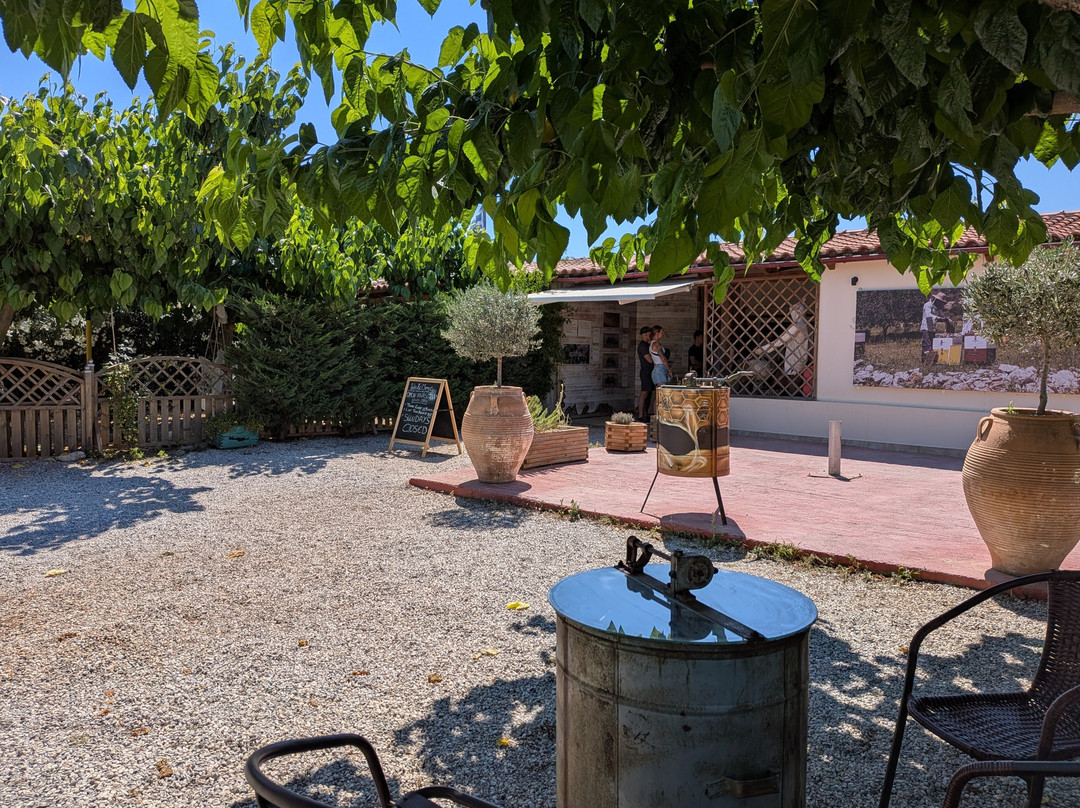 Apithano Honey Museum-Tasting & Tours