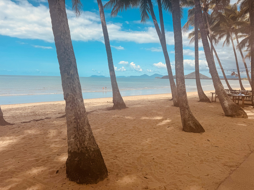 Palm Cove Beach-棕榈湾必去景点