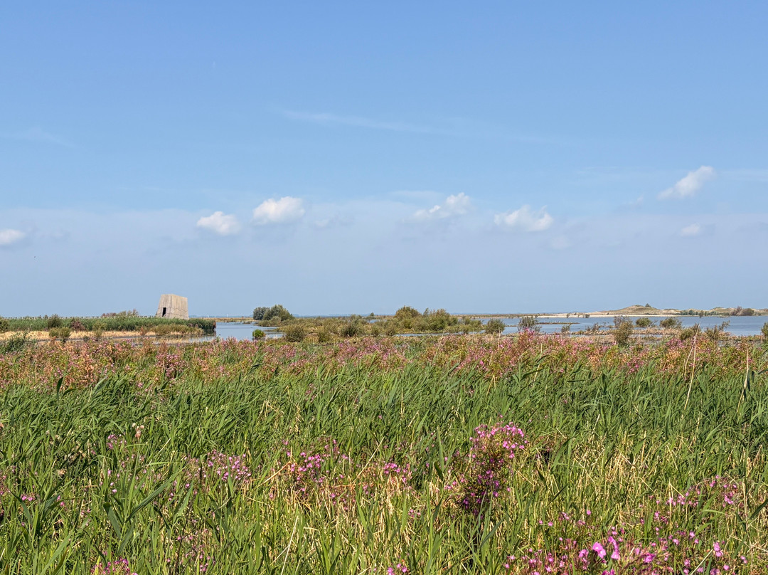 Marker Wadden