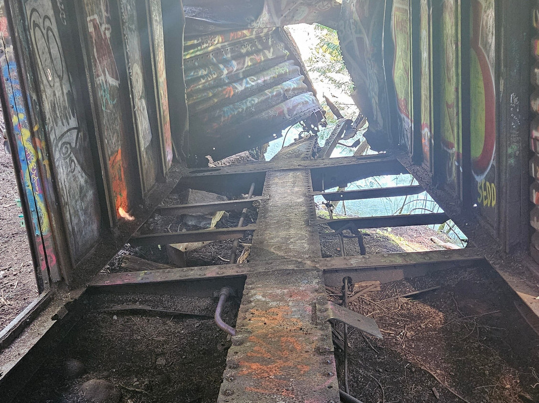 The Whistler Train Wreck Trail-惠斯勒必去景点