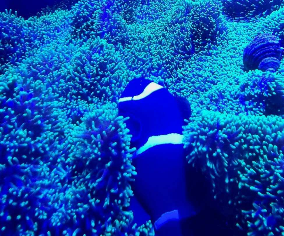 Lake District Coast Aquarium-Maryport必去景点