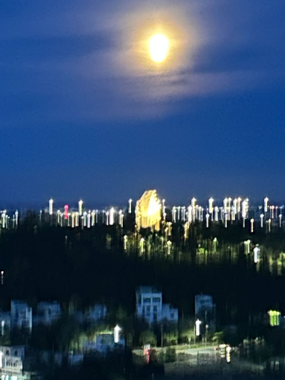 绥和途易蓝健康疗愈酒店-旅行者