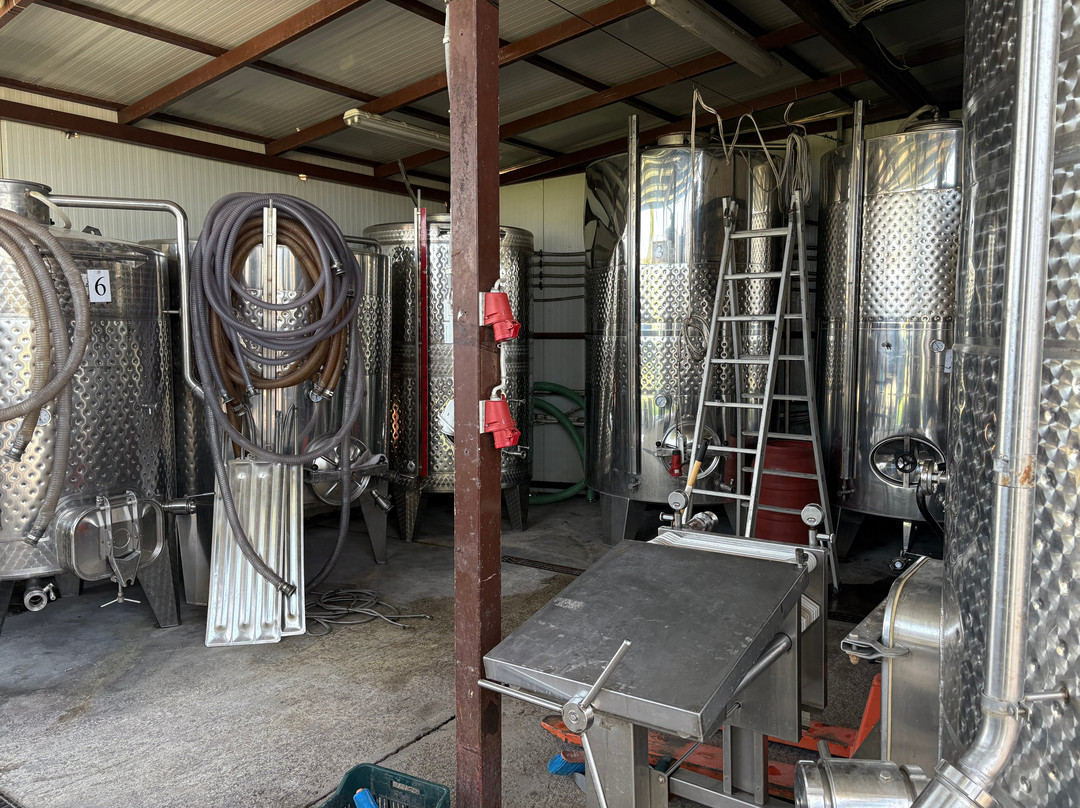 Grampsas Winery-Lagopodo必去景点
