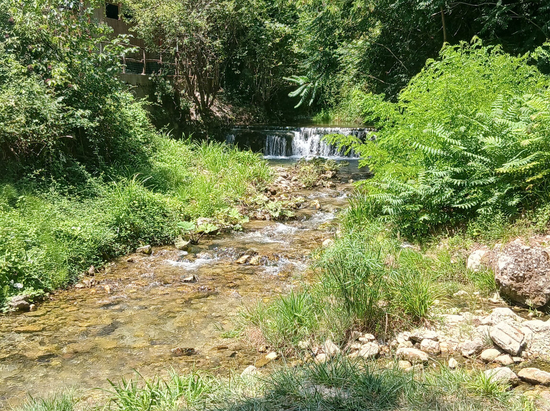 Caposele (sorgenti)-Caposele必去景点