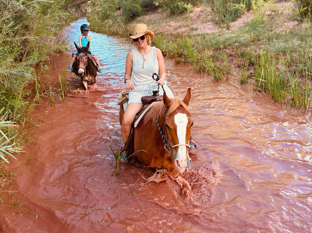 Shelleys Custom Horse Tours-Virgin必去景点