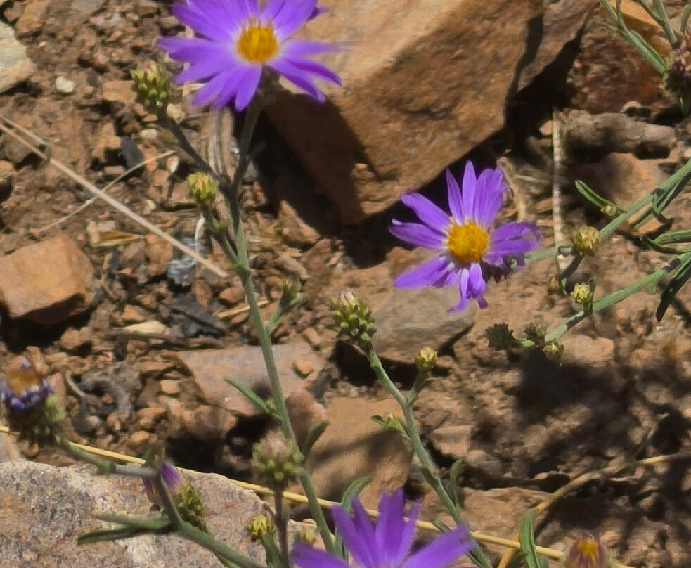 Black Canyon Of The Gunnison National Park-Black Canyon Of The Gunnison National Park必去景点