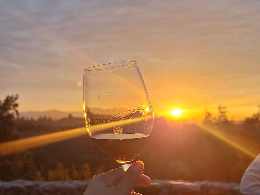 Cuatro Almas Wines-Buin必去景点