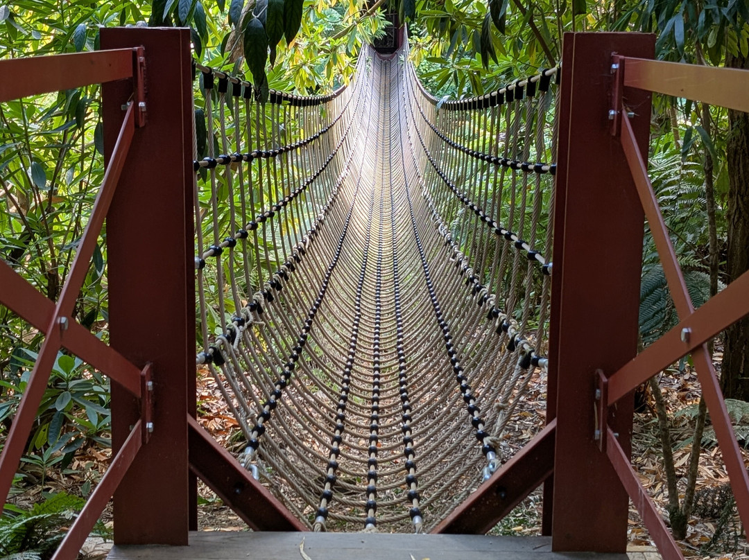 Abbotsbury Subtropical Gardens-Abbotsbury必去景点