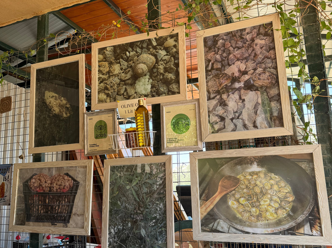Snail Farm And Fun-Tylissos必去景点