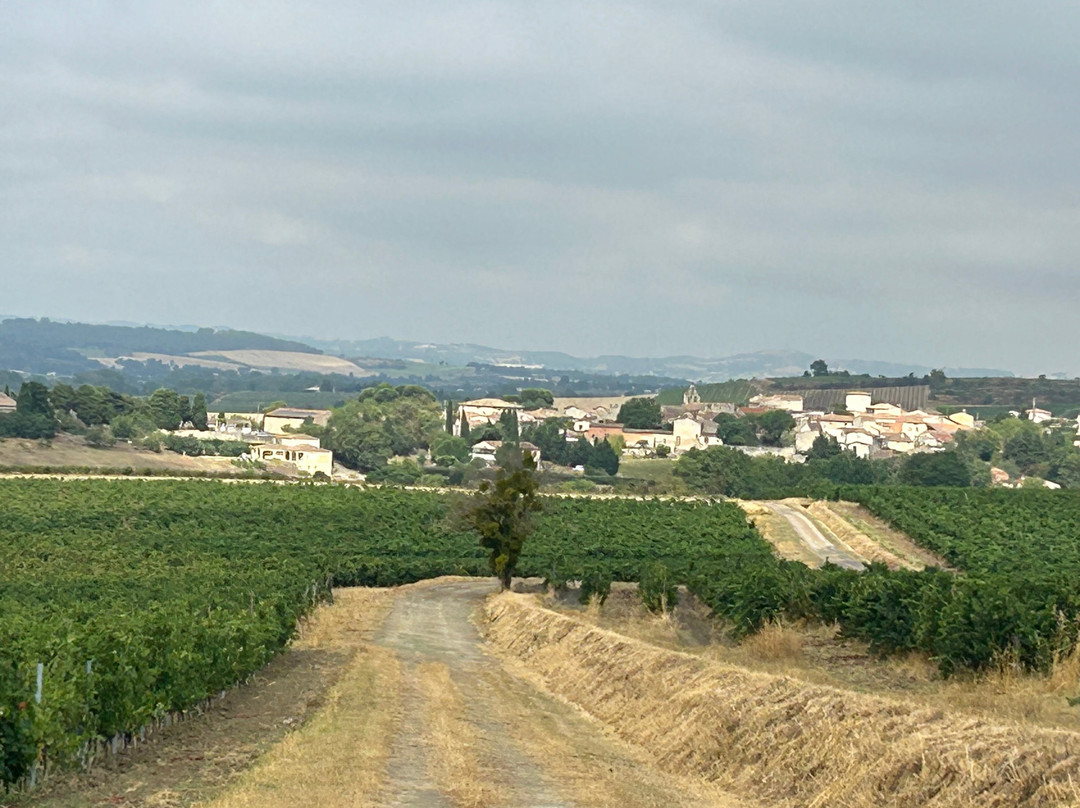 Domaine La Louviere-Malvies必去景点